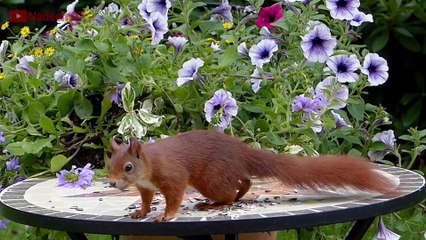 Real story . Daughter. Father and mother