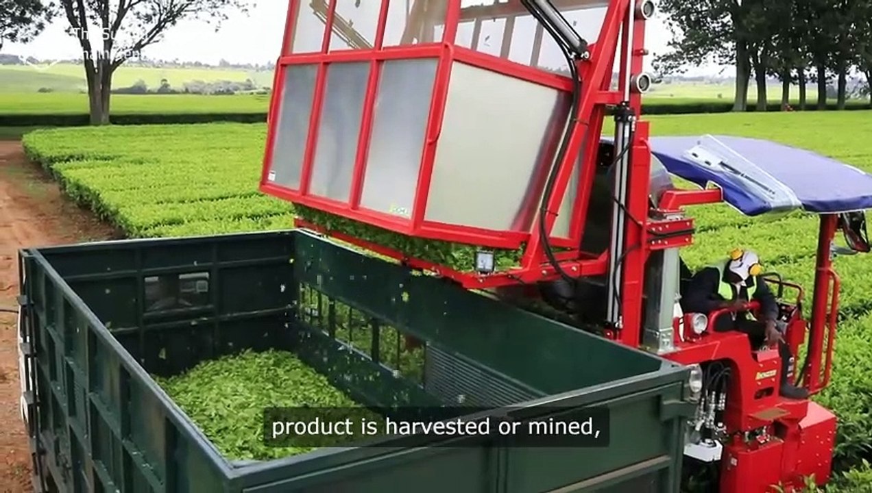 Leveraging Blockchain Technology to Combat Child Labor in Global Supply Chains