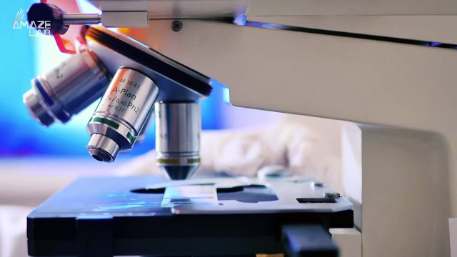 One Millionth the Size of Real Organs! These Lab Created Human Organs Are Amazing