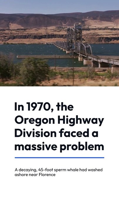 In 1969, a dead whale exploded in Oregon