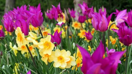 Hindi Love Song I दिल की धड़कन कहे I New Release I #musicvideo