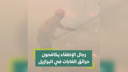 Download Video: رجال الإطفاء يكافحون حرائق الغابات في البرازيل