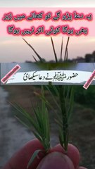 FOURE SIGNE OF MANAFAQ ADMI