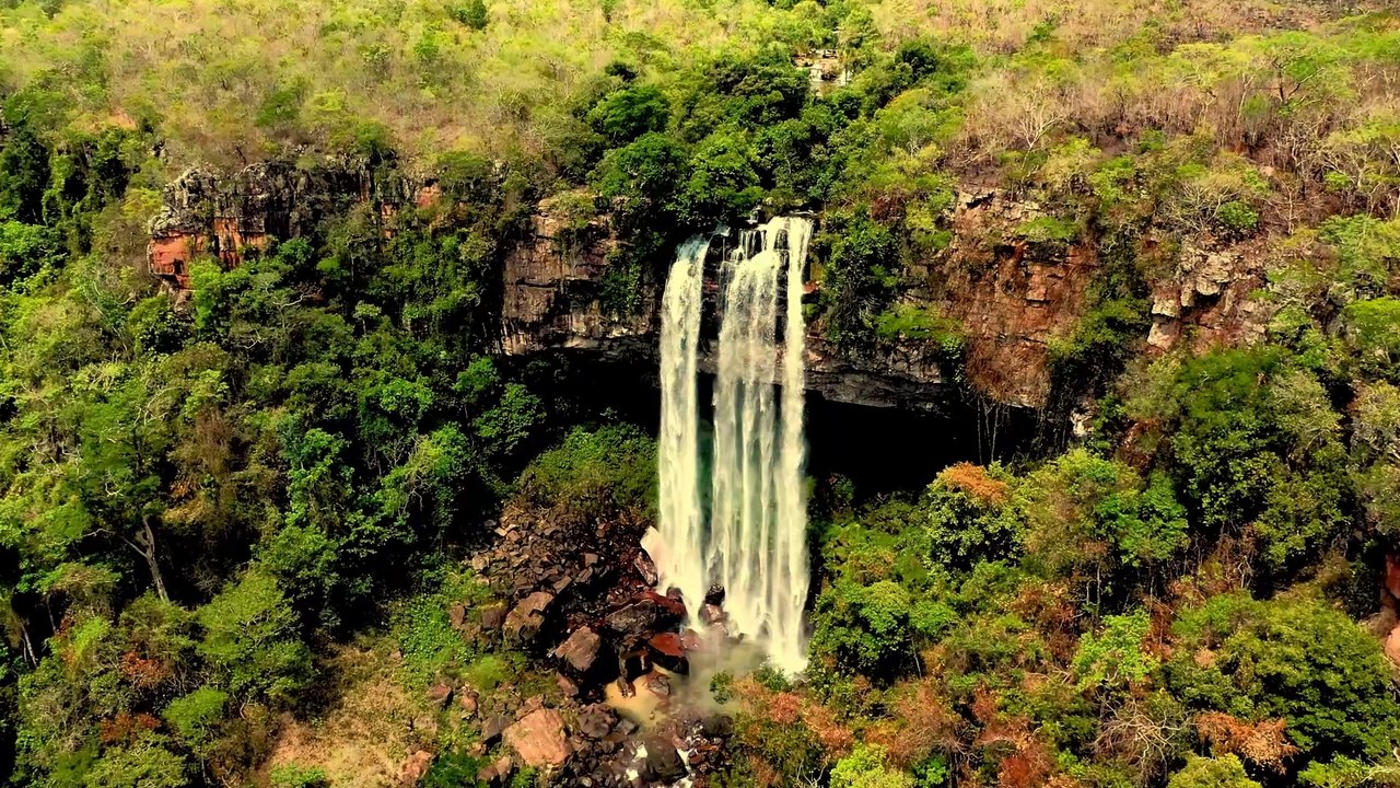 GOTARD - Amazonia