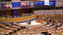 Los socialdemócratas y los liberales del Parlamento Europeo reeligen a sus líderes por aclamación