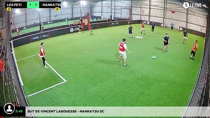 But de Vincent Labouesse - Nankatsu SC