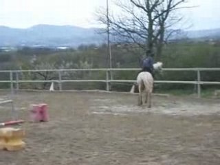 moi et Pacco en cour