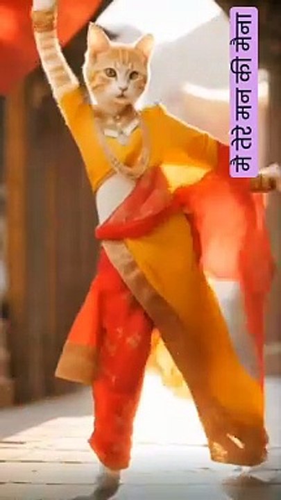 Dancing cat