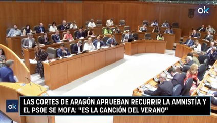Las Cortes de Aragón aprueban recurrir la Amnistía y el PSOE se mofa: "Es la canción del verano"