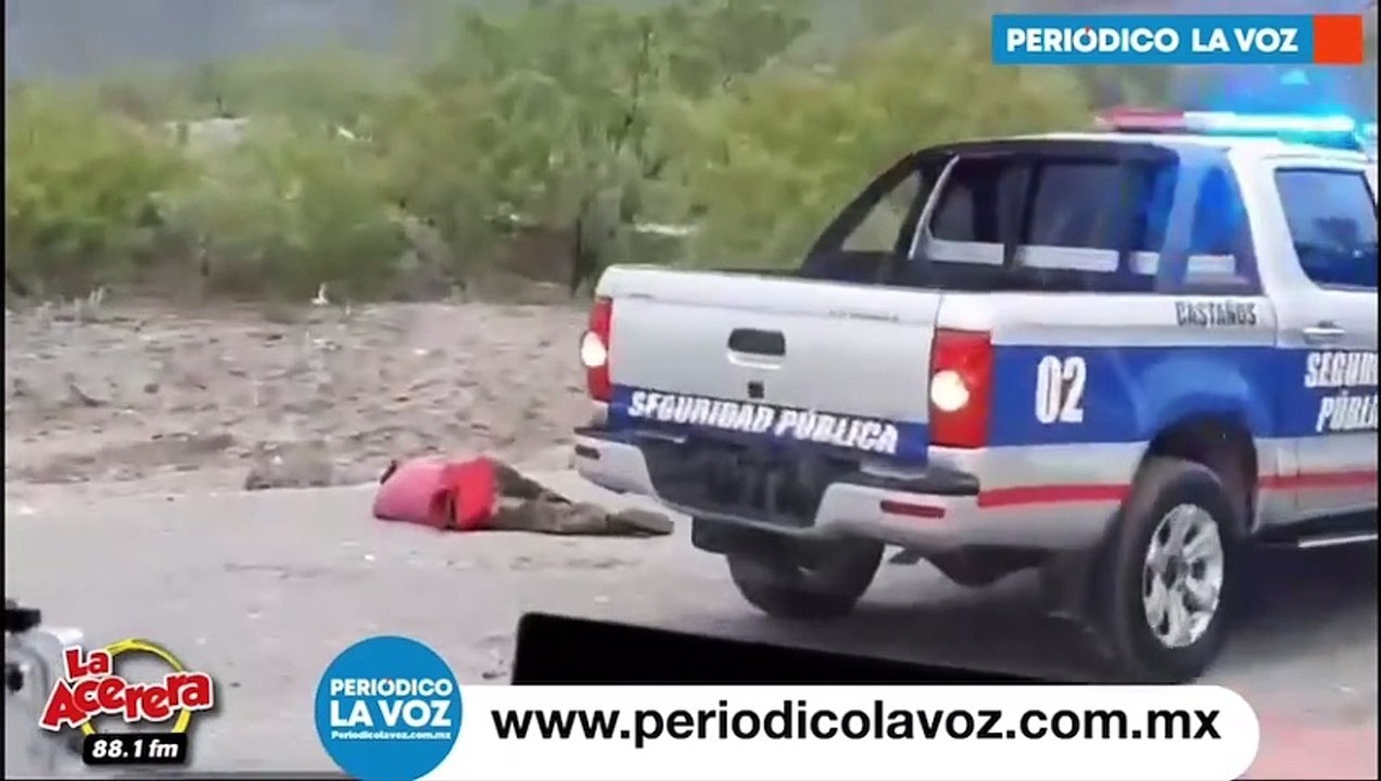 Ataque de abejas deja a hombre grave en la clínica 7 del IMSS