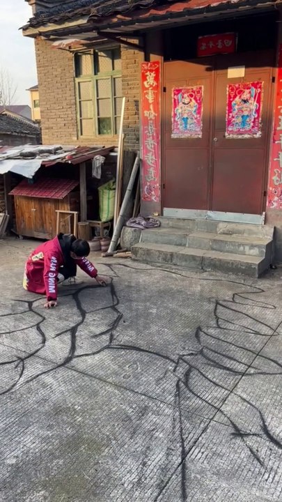 3d Arts must watch
