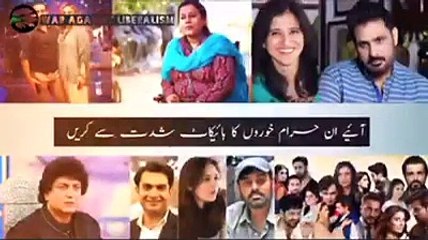 Latest PTV and Ary Drama & News Updates 🎥
