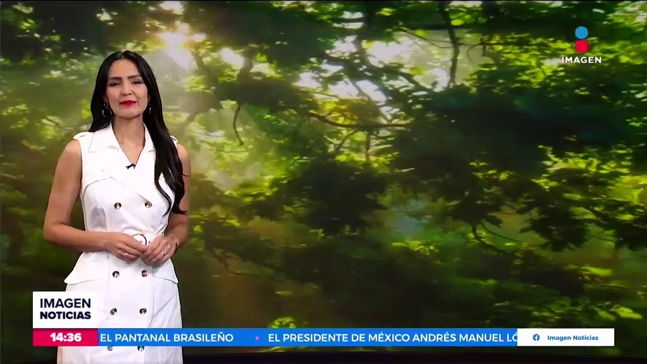 ¡No guarde el paraguas! Continuarán las lluvias en México