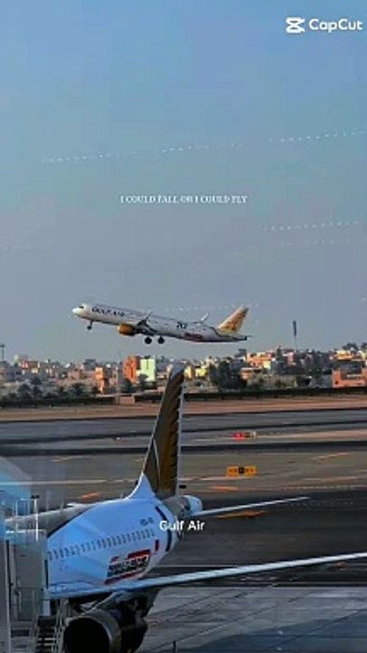 Airline