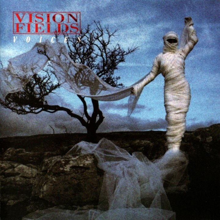 Vision Fields - Voices (AOR Pop/Synth Pop)
