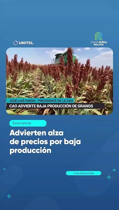 Advierten alza de precios por baja producción