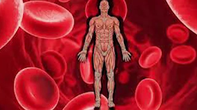 Treat_anemia_naturally خون کی کمی کو پورا کرے بغیر کسی ادویات کے