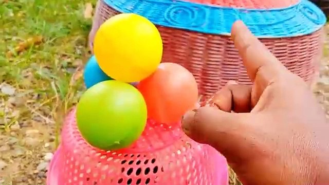 Catch Cute Chickens, Colorful Chickens, Rainbow Chicken, Rabbits, Cute Cats,Ducks,Animals Cute #67