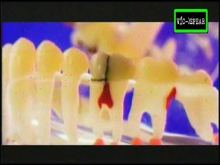 Medicina del siglo XXI: Salud Bucal - Documental Venezolano