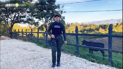 Extorsión  a ganaderos el Gaula advierte sobre modalidad digital