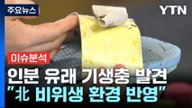 쓰레기로 본 북한의 실상...'바느질한 신발·페트병 어구' 공개 / YTN