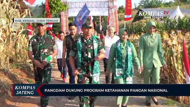 Dukung Ketahanan Pangan, Kodam IV/Diponegoro Panen Jagung