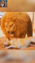 Dog In Trouble| Funny Dog 2024|