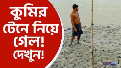 sundarban crocodile attack news