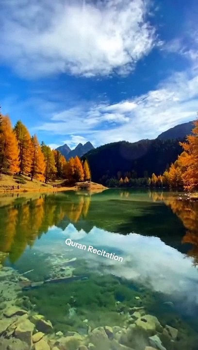 VID-20240624-WA0115