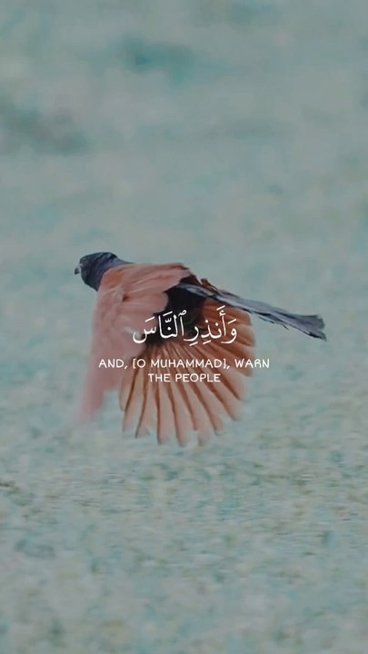 tha HollyQuran and Beautyfull bird vedio