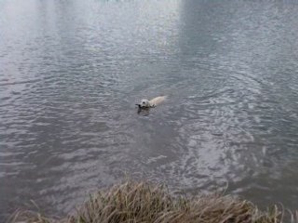 Cali et l'eau
