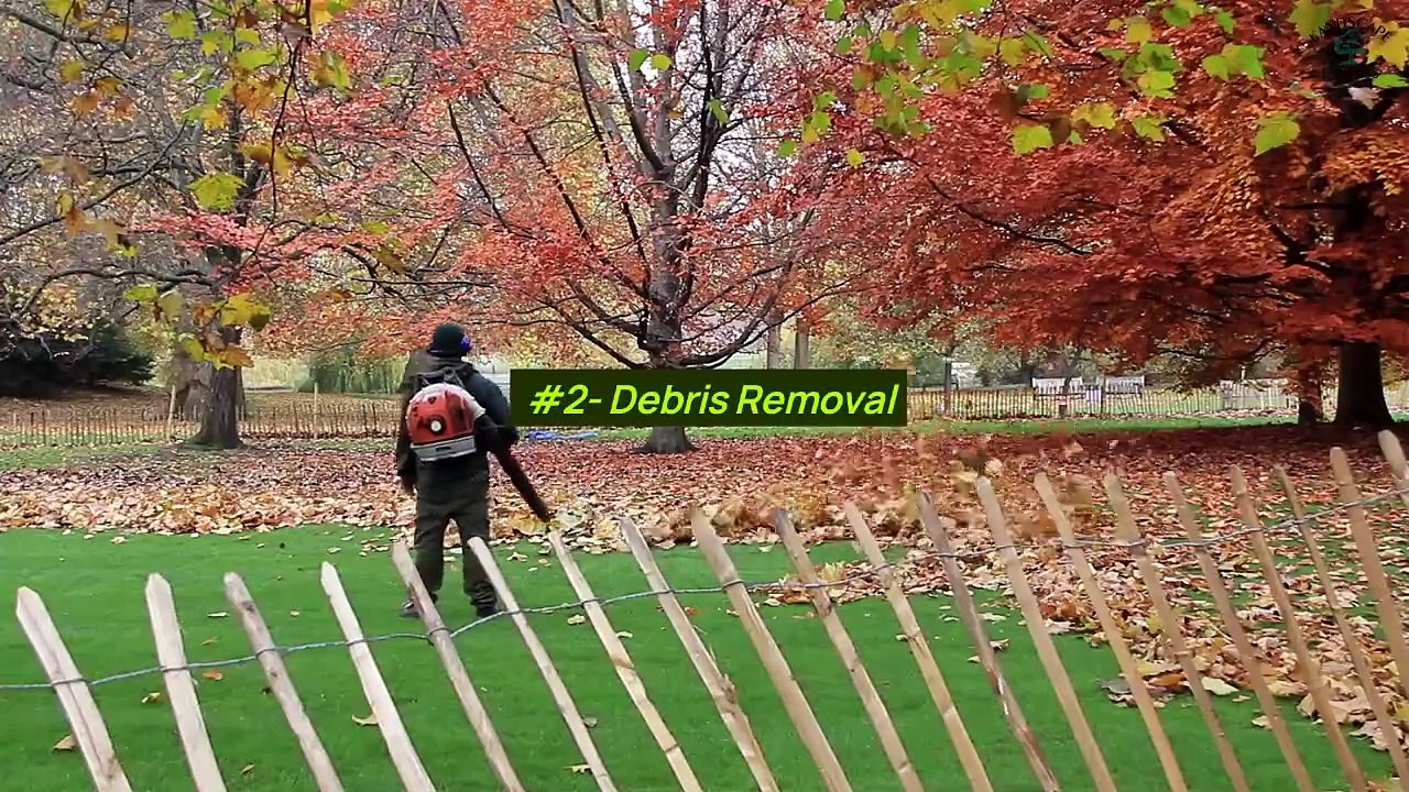 What Does Professional Yard Clean Up Include