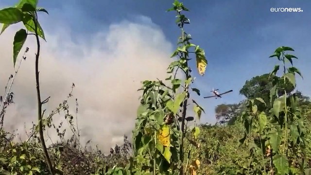 شاهد: عناصر الإطفاء يكافحون حرائق الغابات في البرازيل