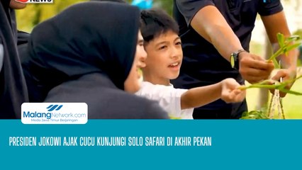 Presiden Jokowi Ajak Cucu Kunjungi Solo Safari di Akhir Pekan