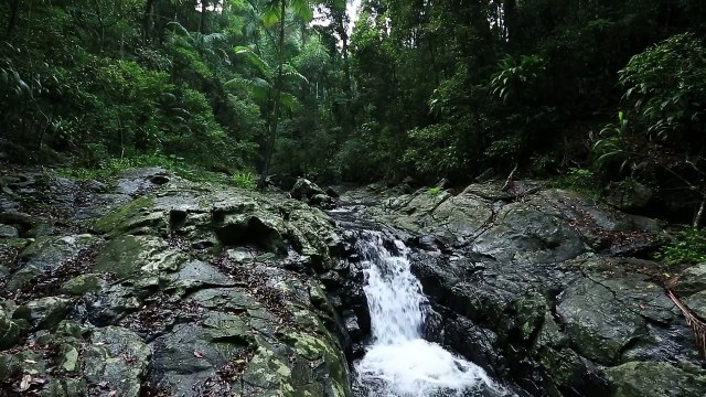 Doğanın Dinlendirici Sesi ve Müziğin Gücü (relaxing music)