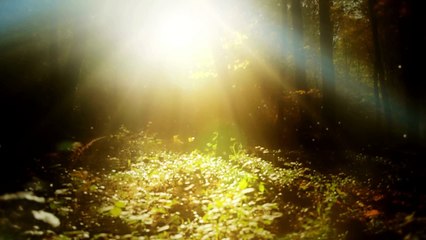 "Renewal Within: A Potent Meditation for New Beginnings"