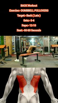 ❌ DUMBBELL PULLOVERS ✔️ How can I get Bigger BACK? #heermlgangaputra #naturalbodybuilding #fitness #workout #exercise #gym #muscle #training