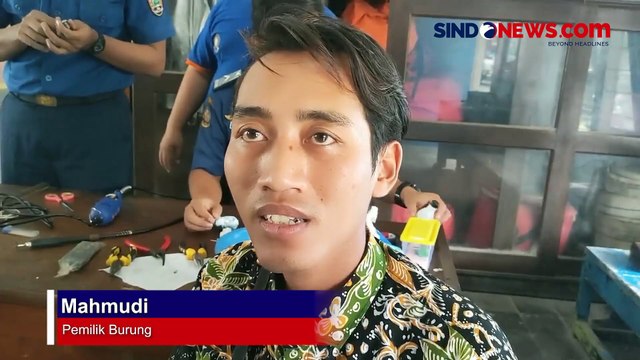 Berlangsung Dramatis, Petugas Damkar Rembang Potong Cincin yang Menjepit di Kaki Burung Perkutut