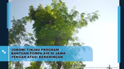 Jokowi Tinjau Program Bantuan Pompa Air Di Jawa Tengah