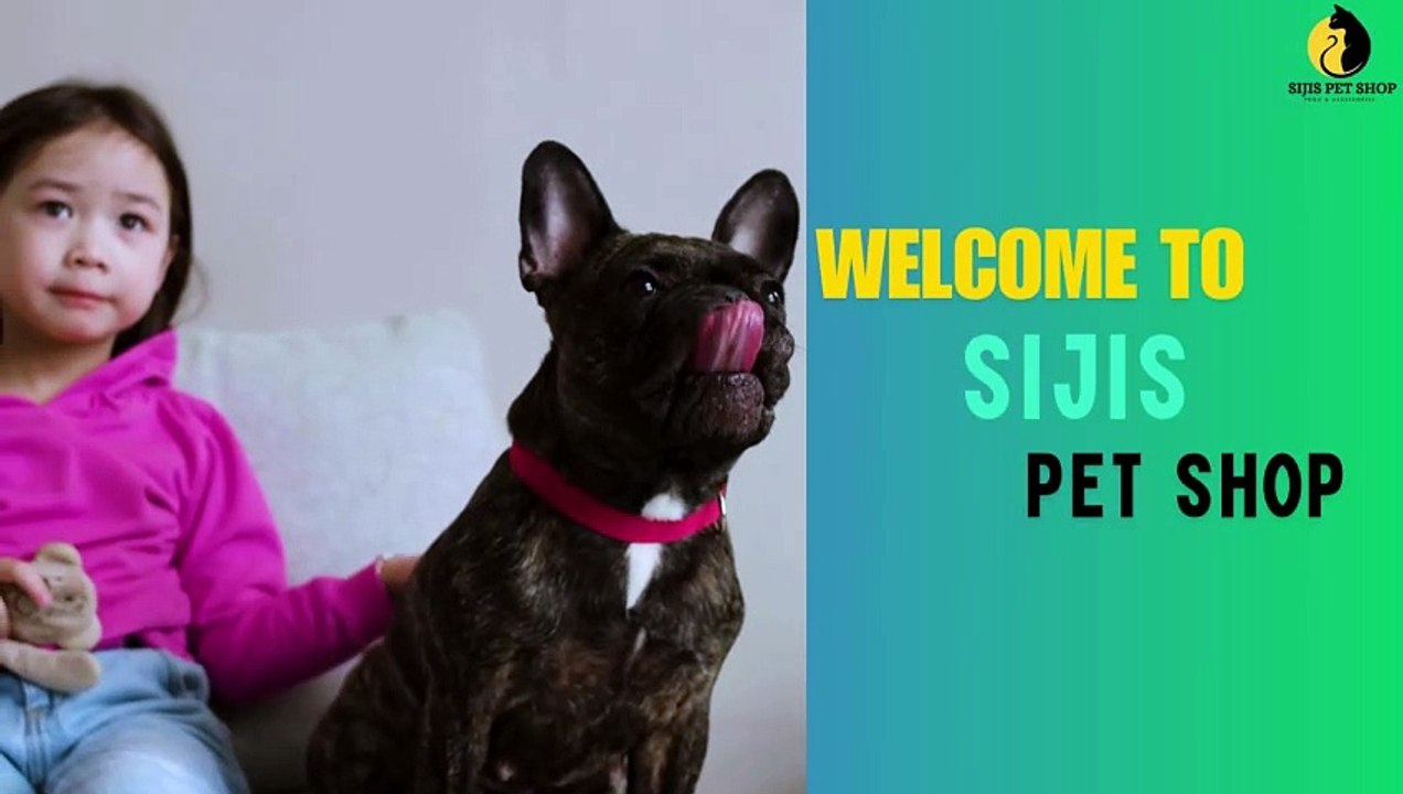 SIJIS PETSHOP THE PET HEAVEN