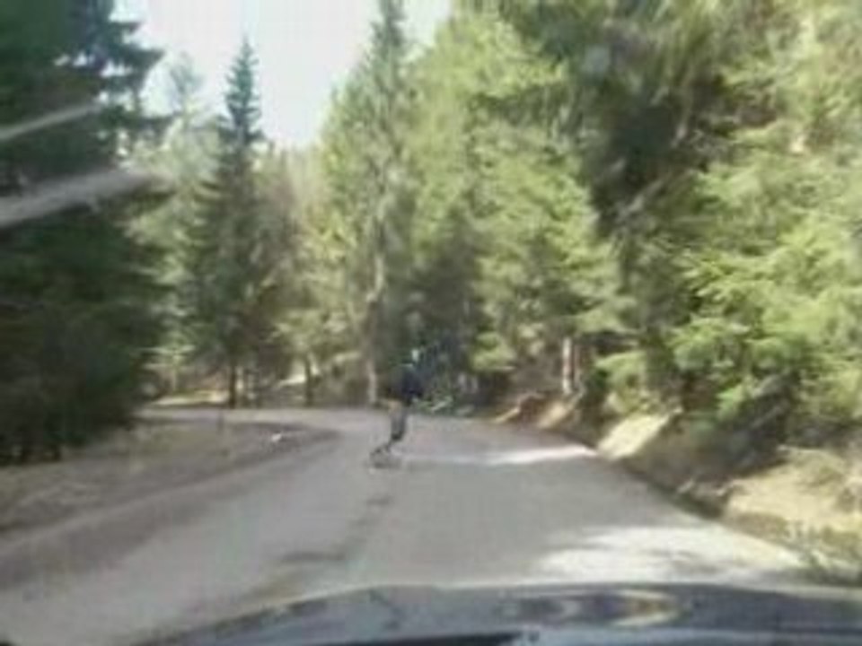 Freebording in Wallberg