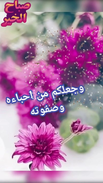 صباح مشرق