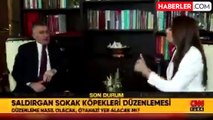 Cumhurbaşkanı Erdoğan'dan sokak köpekleri için talimat! Cumhurbaşkanı sokak köpekleriyle ilgili ne talimat verdi?