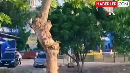 Koyunu havaya atıp tekmeleyen cani: "Onun yüzünden sürüyü kaybedecektim"