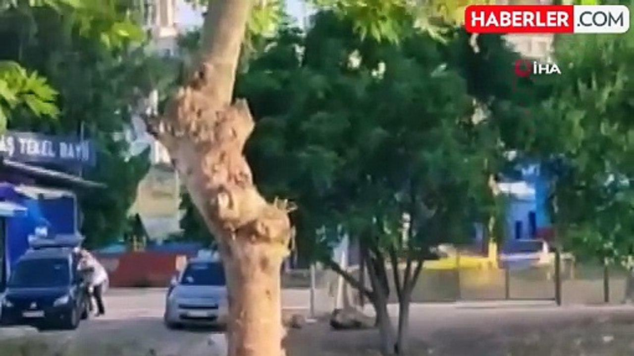 Koyunu havaya atıp tekmeleyen cani: "Onun yüzünden sürüyü kaybedecektim"