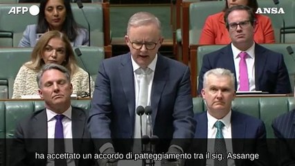 Assange libero, Albanese in Parlamento: "Molto soddisfatto del patteggiamento"