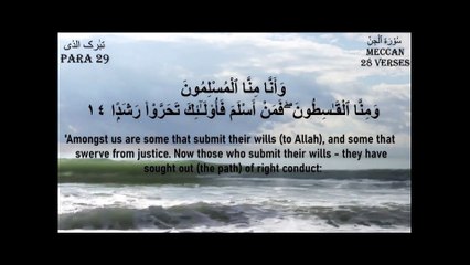 Surah Al-Jinn recited by Sheikh Abdullah Abdul