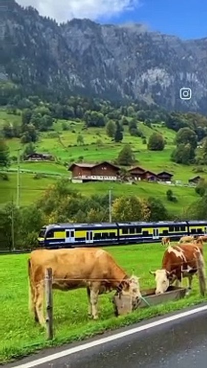 Kashmir ke view