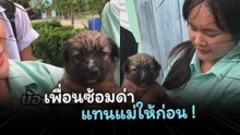 อยากเอาน้องไปเลี้ยงที่บ้าน เพื่อนซ้อมด่าแทนแม่ให้ก่อน !