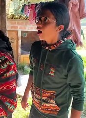 Buscando la solución para mi amigo el mandarina | 2024